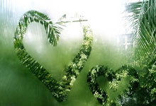 里程碑夜！北京国安迎来里程碑，意大利杯窗口期刷纪录，悬念犹存，赛程密集仍需轮换的简单介绍-开云平台登录入口