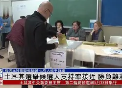  李哥faker简介 