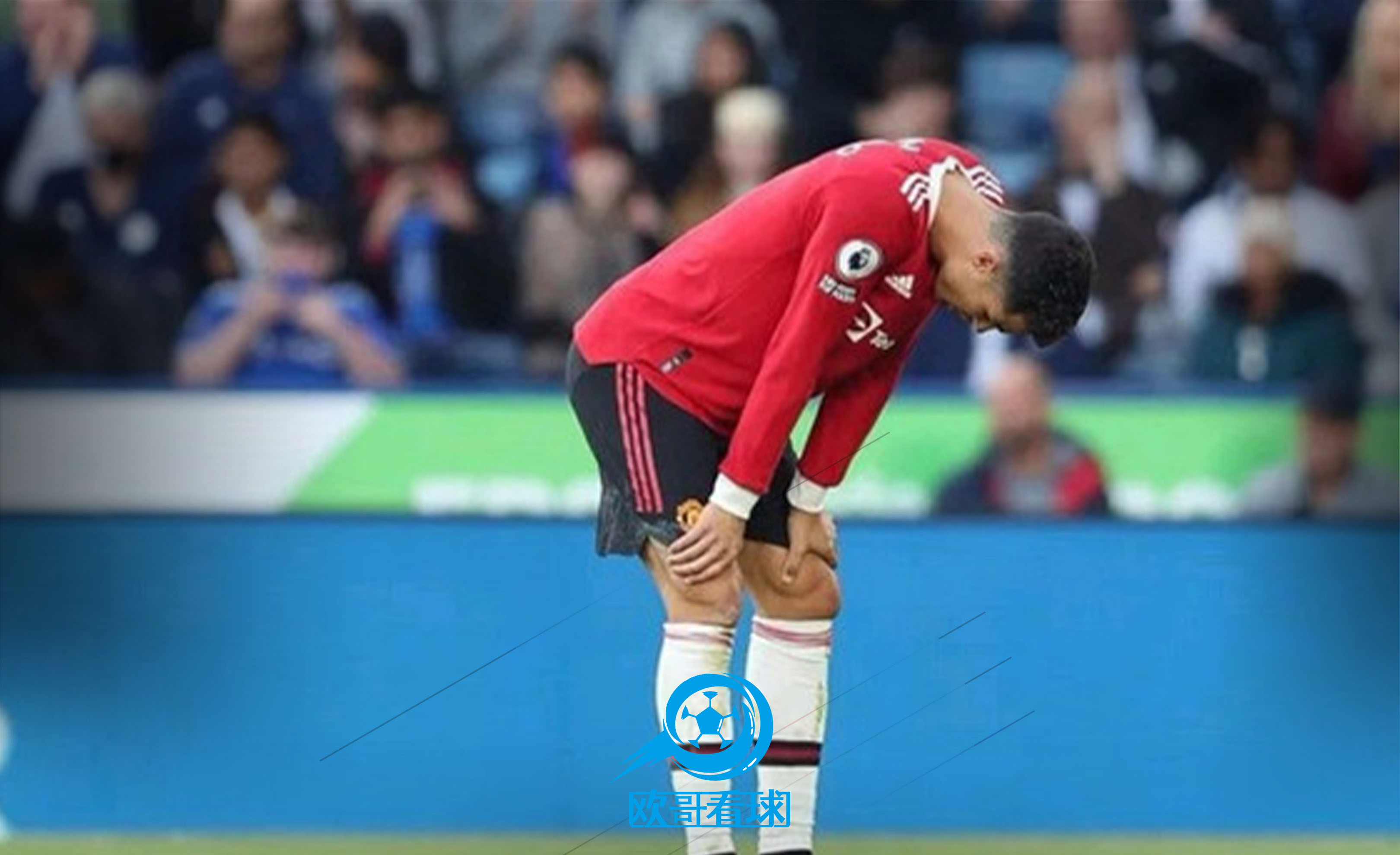 萨克拉门托国王队曾经最强的阵容